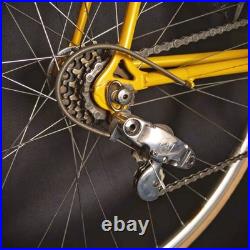 Rare Vintage De Rosa 35 Anniversary Road Bike Columbus Slx Campagnolo Collectors