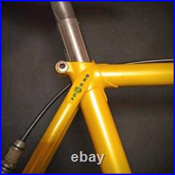 Rare Vintage De Rosa 35 Anniversary Road Bike Columbus Slx Campagnolo Collectors