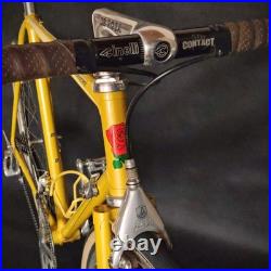 Rare Vintage De Rosa 35 Anniversary Road Bike Columbus Slx Campagnolo Collectors