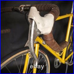 Rare Vintage De Rosa 35 Anniversary Road Bike Columbus Slx Campagnolo Collectors