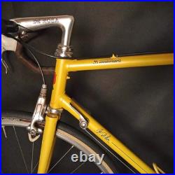 Rare Vintage De Rosa 35 Anniversary Road Bike Columbus Slx Campagnolo Collectors