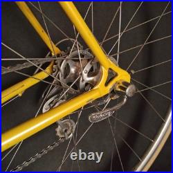 Rare Vintage De Rosa 35 Anniversary Road Bike Columbus Slx Campagnolo Collectors