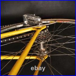 Rare Vintage De Rosa 35 Anniversary Road Bike Columbus Slx Campagnolo Collectors