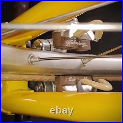 Rare Vintage De Rosa 35 Anniversary Road Bike Columbus Slx Campagnolo Collectors