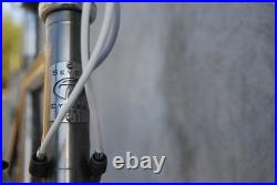 Seven Cycles Axiom 55cm Campagnolo Record 10 speed Brooks, Cinelli, Time