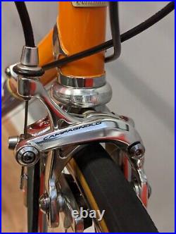 Tommasini Tecno Steel Road Bike Campagnolo Athena 11spd