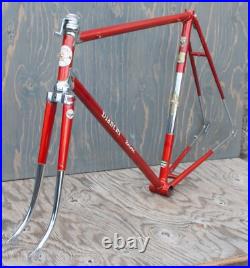 Vintage 1960 Bianchi Record RoadBike FRAME & FORK Campagnolo Tour Sports Bicycle