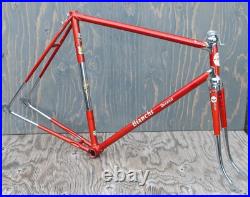 Vintage 1960 Bianchi Record RoadBike FRAME & FORK Campagnolo Tour Sports Bicycle
