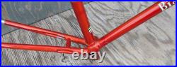 Vintage 1960 Bianchi Record RoadBike FRAME & FORK Campagnolo Tour Sports Bicycle