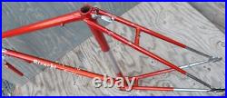 Vintage 1960 Bianchi Record RoadBike FRAME & FORK Campagnolo Tour Sports Bicycle