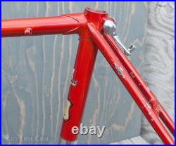 Vintage 1960 Bianchi Record RoadBike FRAME & FORK Campagnolo Tour Sports Bicycle Vintage 1960 Bianchi Record RoadBike FRAME & FORK Campagnolo Tour Sports Bicycle