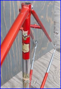 Vintage 1960 Bianchi Record RoadBike FRAME & FORK Campagnolo Tour Sports Bicycle