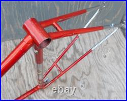 Vintage 1960 Bianchi Record RoadBike FRAME & FORK Campagnolo Tour Sports Bicycle