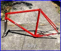 Vintage 80s ROSSIN RECORD 53cm Frame & Fork Italian Columbus Campagnolo