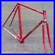 Vintage-Becucci-Road-Bike-FRAME-FORK-Lugged-Columbus-Steel-Bicycle-Campagnolo-01-nmyc
