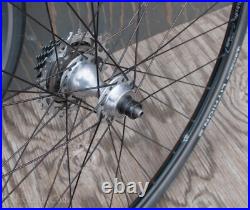 Vintage Campagnolo C Record 700c RoadBike WHEELS Velocity Rims Tires Bicycle