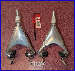 Vintage Campagnolo C- Record Delta Brakes