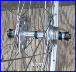 Vintage Campagnolo No Record RoadBike WHEEL HFHub Fiamme Rim TubularTire Bicycle Vintage Campagnolo No Record RoadBike WHEEL HFHub Fiamme Rim TubularTire Bicycle