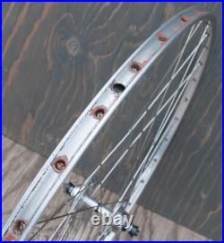 Vintage Campagnolo No Record RoadBike WHEEL HFHub Fiamme Rim TubularTire Bicycle Vintage Campagnolo No Record RoadBike WHEEL HFHub Fiamme Rim TubularTire Bicycle