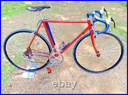 Vintage Campagnolo Record Custom Road Bike-Set your flux capacitor to 1983 Vintage Campagnolo Record Custom Road Bike-Set your flux capacitor to 1983