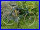 Vintage-Cilo-Team-Bicycle-Reynolds-531-Campagnolo-Flawless-condition-01-sgly