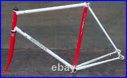 Vintage Davidson Impulse Bicycle FRAME & FORK Steel Lugged Road Bike Campagnolo