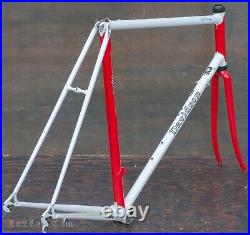 Vintage Davidson Impulse Bicycle FRAME & FORK Steel Lugged Road Bike Campagnolo