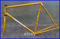 Vintage Gold Mirella Italian RoadBike FRAME FORK Campagnolo Record Tour Bicycle