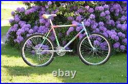 Vintage MTB SOMEC / Campagnolo Record