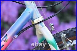 Vintage MTB SOMEC / Campagnolo Record