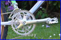 Vintage MTB SOMEC / Campagnolo Record
