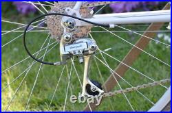 Vintage MTB SOMEC / Campagnolo Record