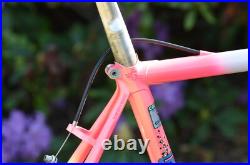 Vintage MTB SOMEC / Campagnolo Record