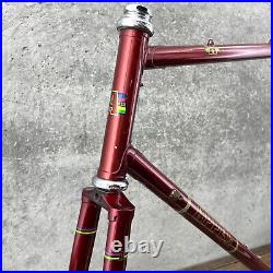 Vintage Mike Appel Frame Set Made in USA 59 60 cm 126 Red Tall Steel Campy Race