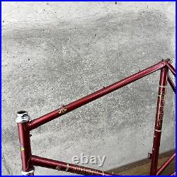 Vintage Mike Appel Frame Set Made in USA 59 60 cm 126 Red Tall Steel Campy Race