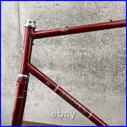 Vintage Mike Appel Frame Set Made in USA 59 60 cm 126 Red Tall Steel Campy Race