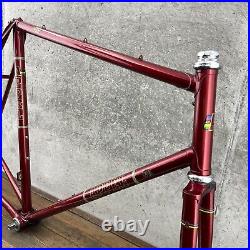 Vintage Mike Appel Frame Set Made in USA 59 60 cm 126 Red Tall Steel Campy Race