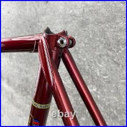 Vintage Mike Appel Frame Set Made in USA 59 60 cm 126 Red Tall Steel Campy Race