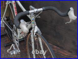 Vintage Pinarello ProLogo TT ROAD BIKE Campagnolo C Record Delta Brakes Bicycle