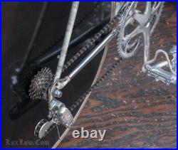 Vintage Pinarello ProLogo TT ROAD BIKE Campagnolo C Record Delta Brakes Bicycle