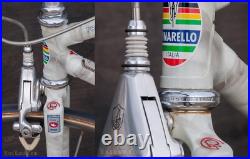 Vintage Pinarello ProLogo TT ROAD BIKE Campagnolo C Record Delta Brakes Bicycle