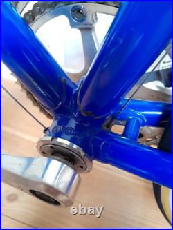 Vintage Road Bike Gios Torino Professional, Campagnolo Nuovo Record Vintage Road Bike Gios Torino Professional, Campagnolo Nuovo Record