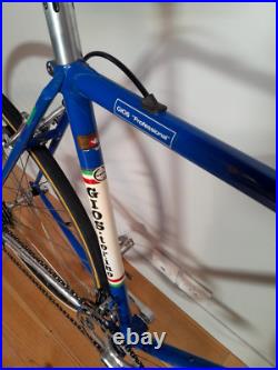 Vintage Road Bike Gios Torino Professional, Campagnolo Nuovo Record Vintage Road Bike Gios Torino Professional, Campagnolo Nuovo Record