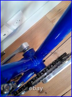 Vintage Road Bike Gios Torino Professional, Campagnolo Nuovo Record Vintage Road Bike Gios Torino Professional, Campagnolo Nuovo Record
