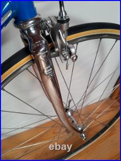 Vintage Road Bike Gios Torino Professional, Campagnolo Nuovo Record Vintage Road Bike Gios Torino Professional, Campagnolo Nuovo Record