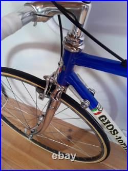 Vintage Road Bike Gios Torino Professional, Campagnolo Nuovo Record Vintage Road Bike Gios Torino Professional, Campagnolo Nuovo Record