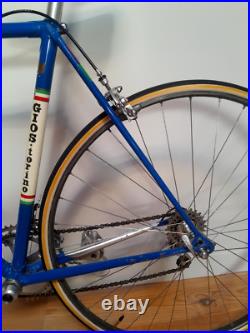Vintage Road Bike Gios Torino Professional, Campagnolo Nuovo Record Vintage Road Bike Gios Torino Professional, Campagnolo Nuovo Record