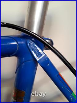 Vintage Road Bike Gios Torino Professional, Campagnolo Nuovo Record Vintage Road Bike Gios Torino Professional, Campagnolo Nuovo Record