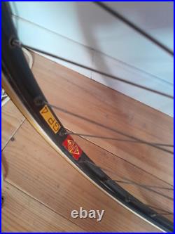 Vintage Road Bike Gios Torino Professional, Campagnolo Nuovo Record Vintage Road Bike Gios Torino Professional, Campagnolo Nuovo Record