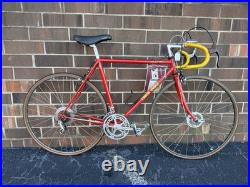Vintage Trek 660 Road Bike Campagnolo Nuovo Record Campy 10 speed